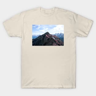 Panorama Swiss Alps T-Shirt